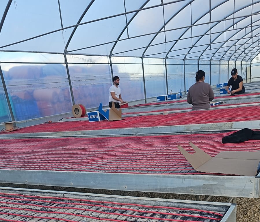Electric heating of greenhouse Gruppo Campana